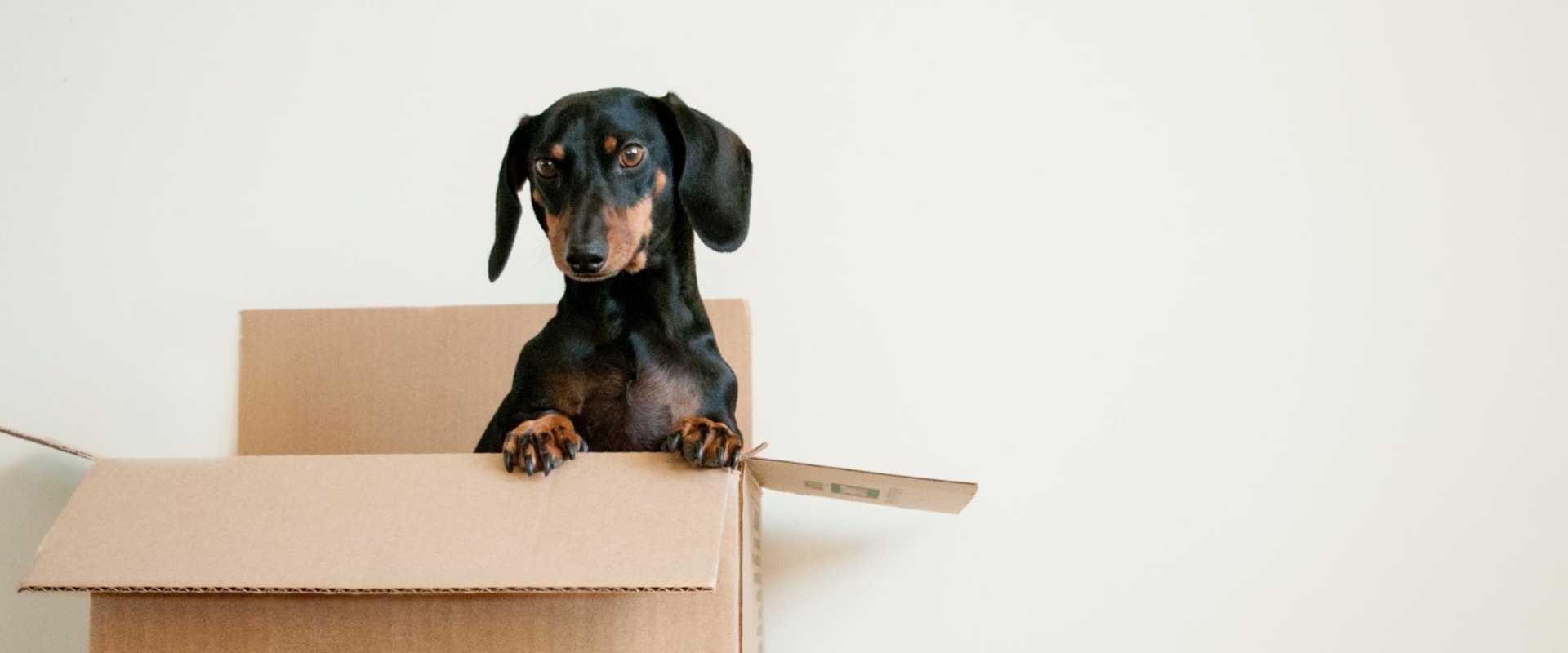 Is unpacking service worth it?