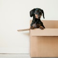Is unpacking service worth it?