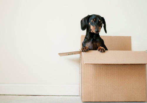 Is unpacking service worth it?