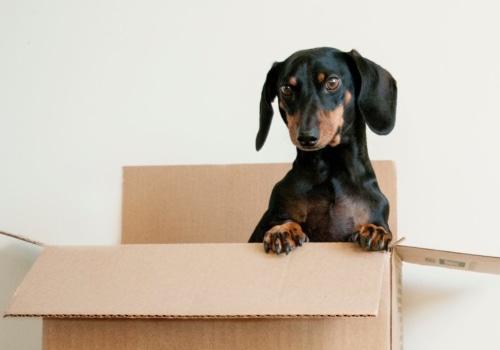 Is unpacking service worth it?